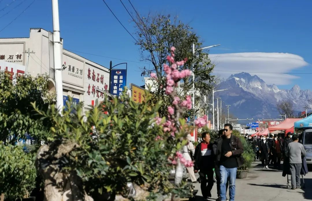 丽江日报