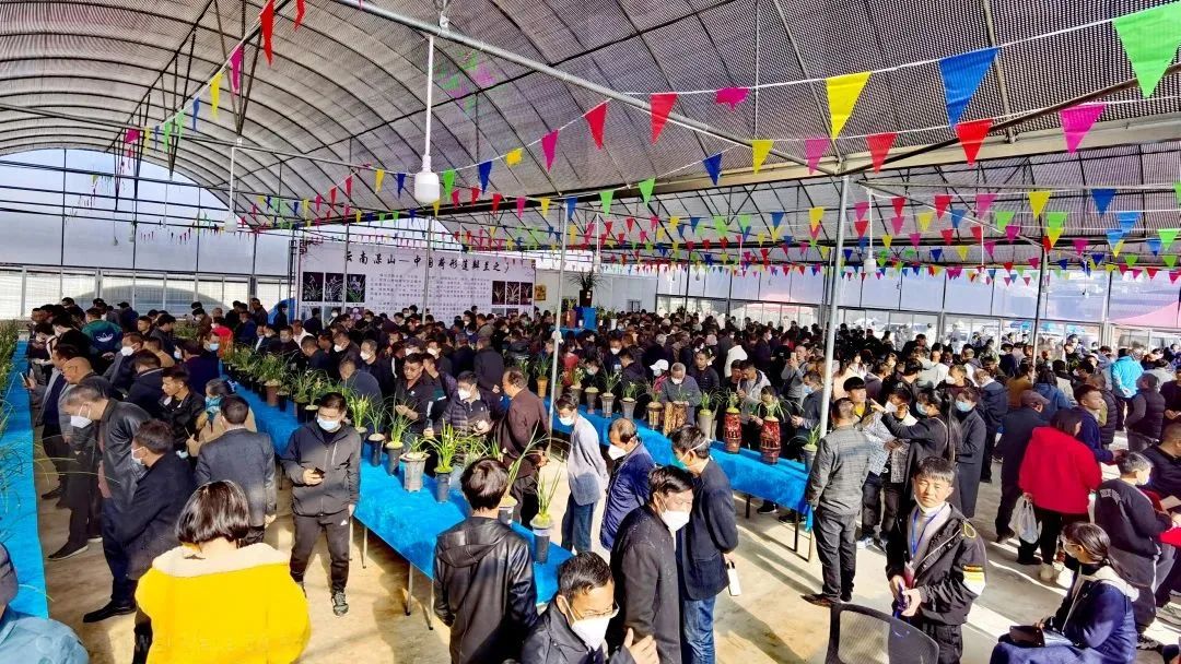 保山新闻网