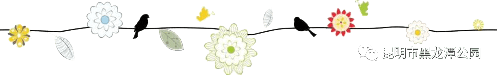 昆明市黑龙潭公园