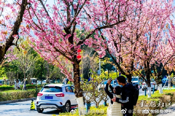 “云南发布”微博