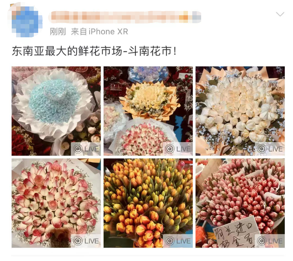 昆明信息港/cnkmxxg