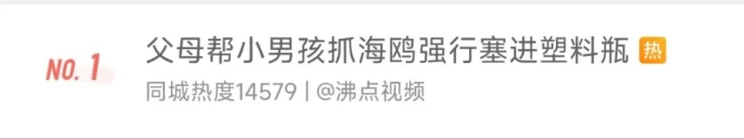 掌上春城