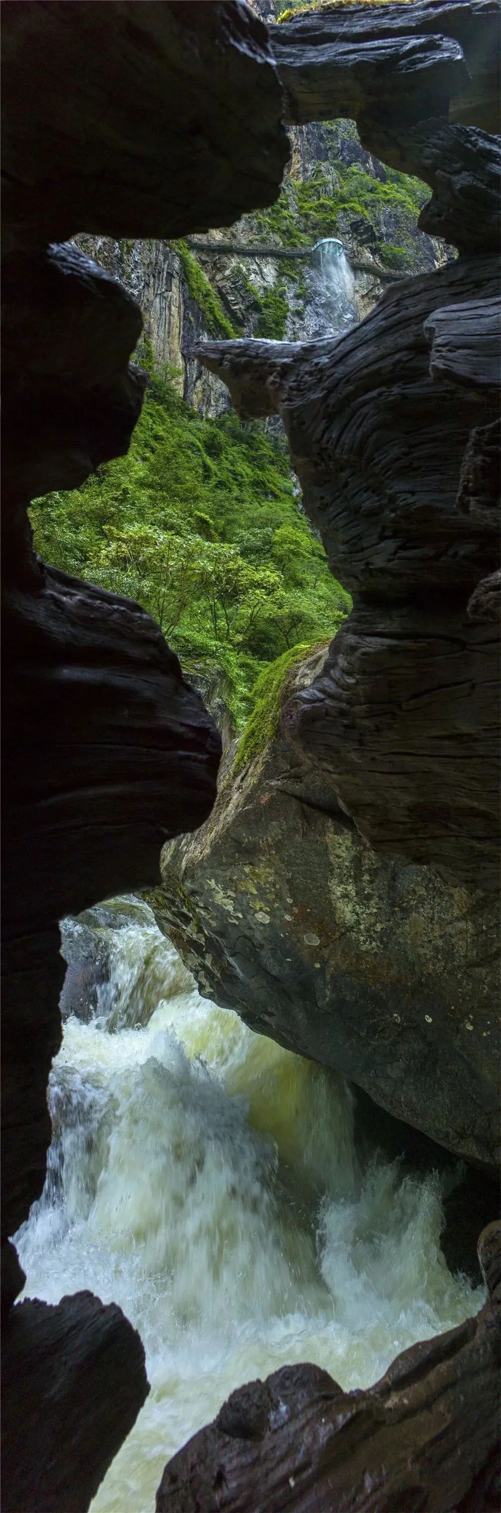大理电视台