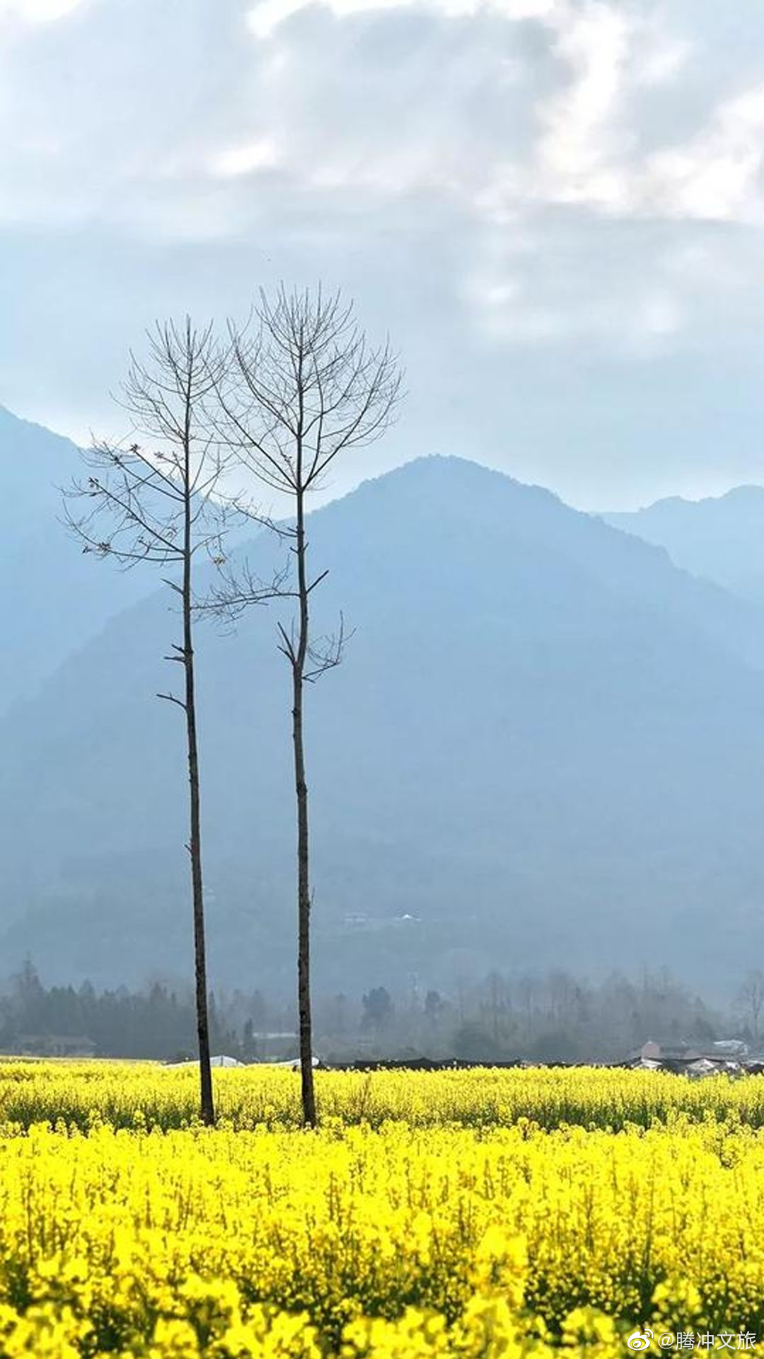 腾冲文旅微博