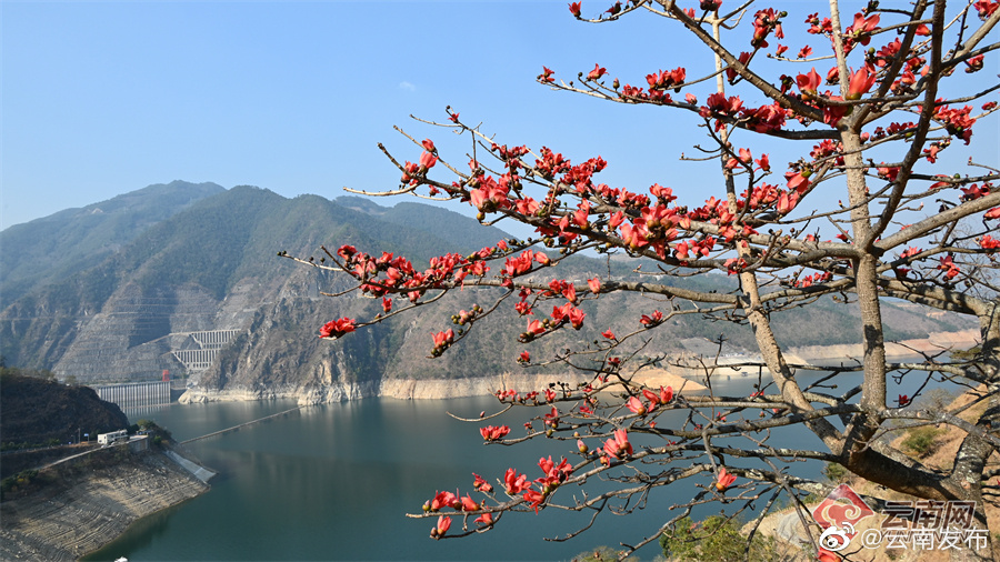 “云南发布”微博