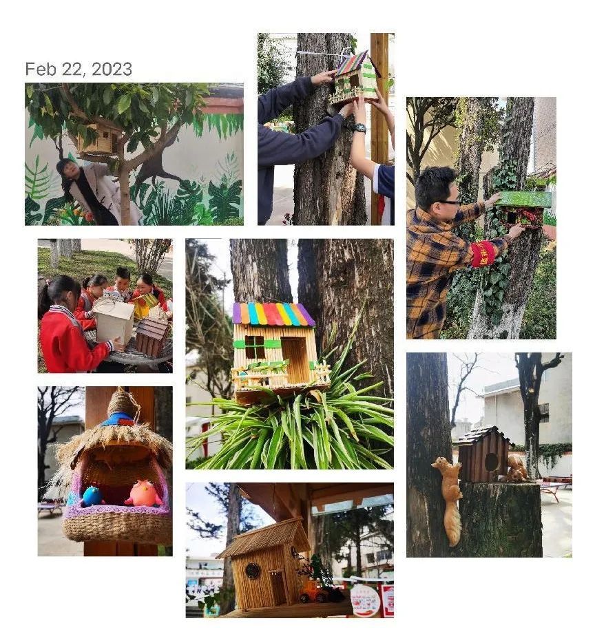 盘龙教育