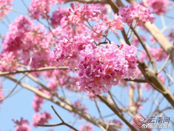 呈贡发布