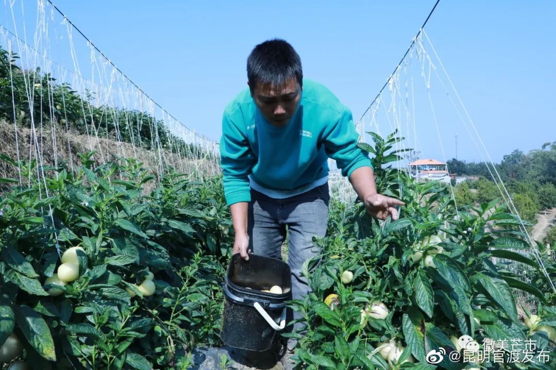 “昆明官渡发布”微博