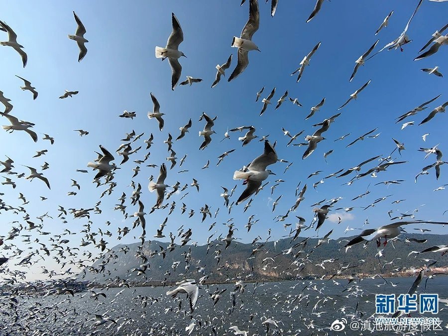 滇池旅游度假区