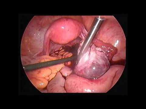 云南省中医医院