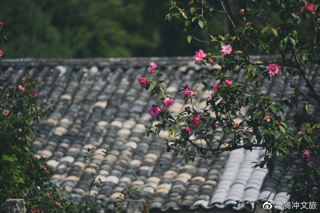 腾冲文旅微博