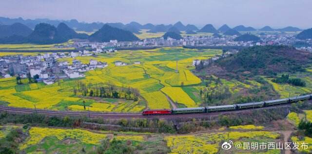 昆明市西山区发布