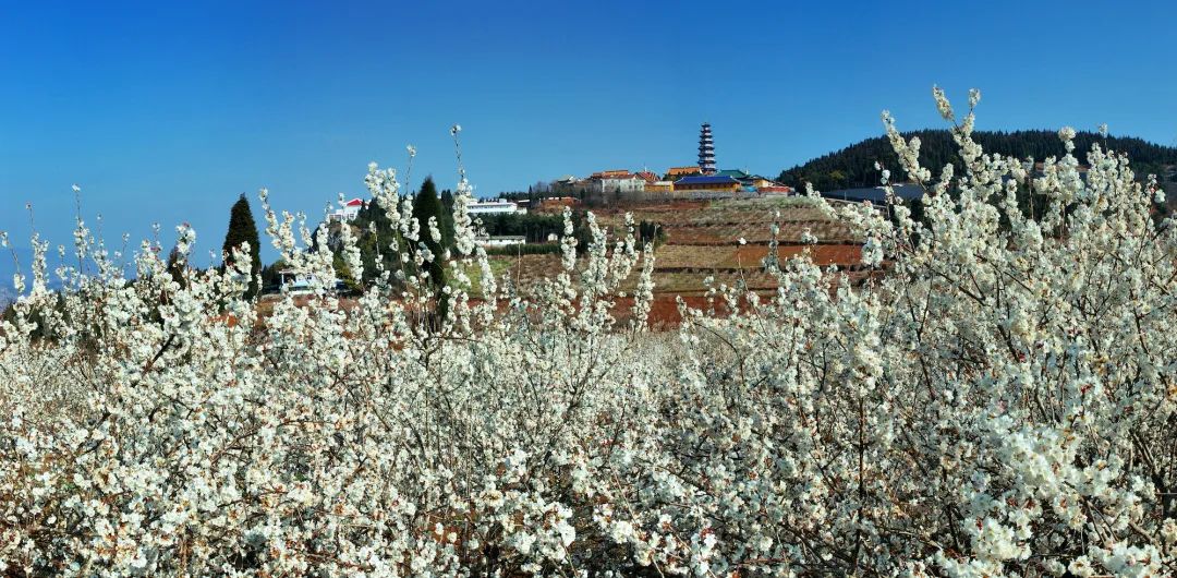 一部手机游云南