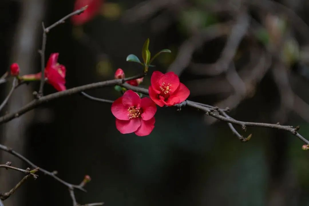 昆明文旅