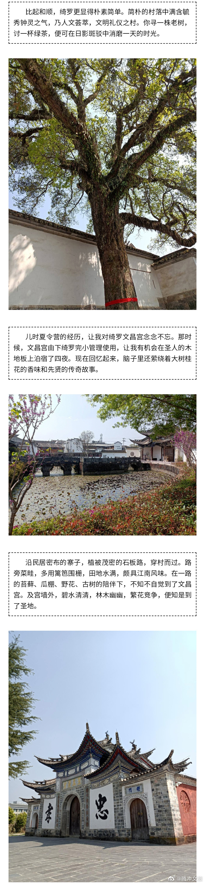 腾冲文旅微博