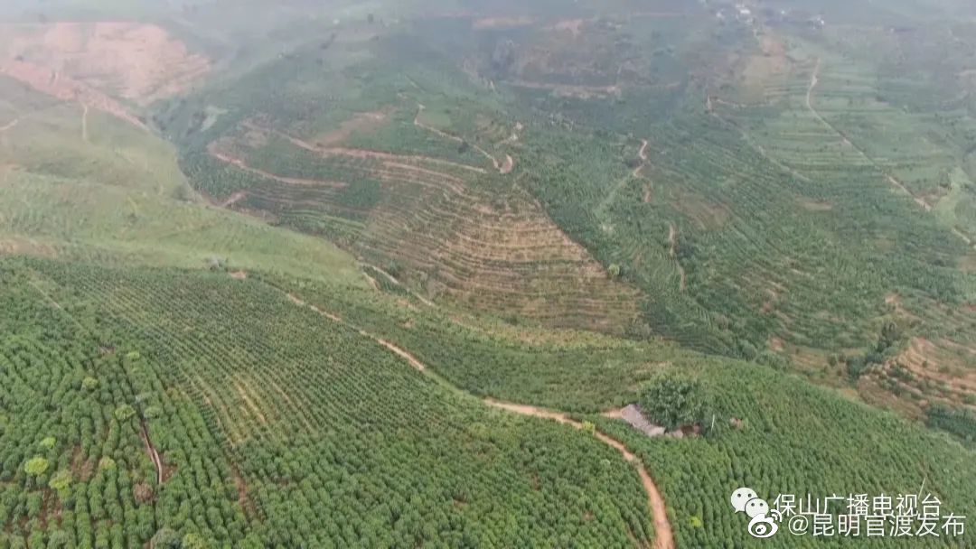 “昆明官渡发布”微博