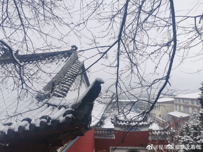 呈贡发布