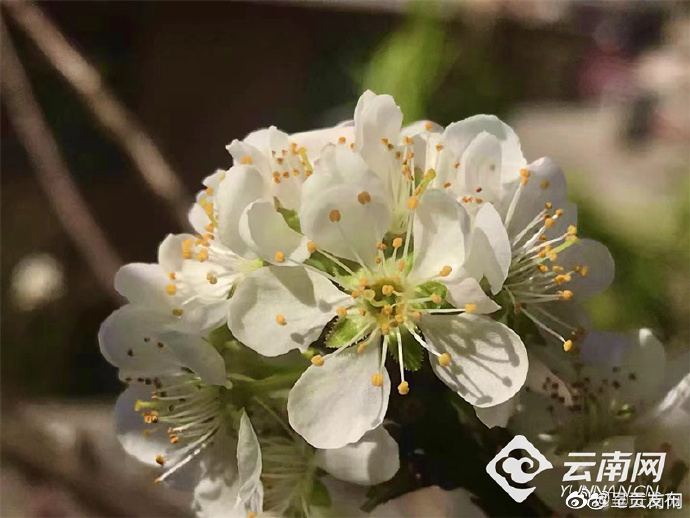 呈贡发布