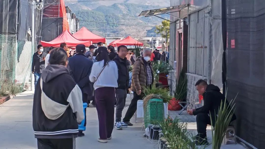 保山新闻网