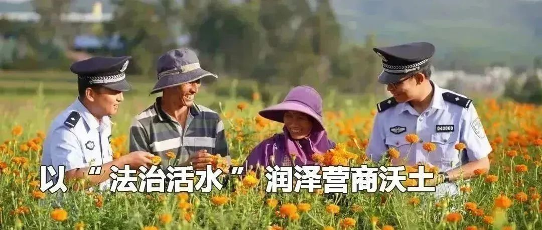 云南政法