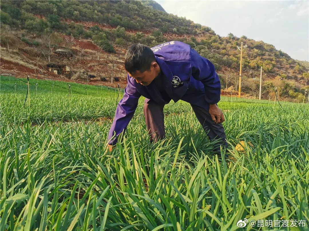 “昆明官渡发布”微博
