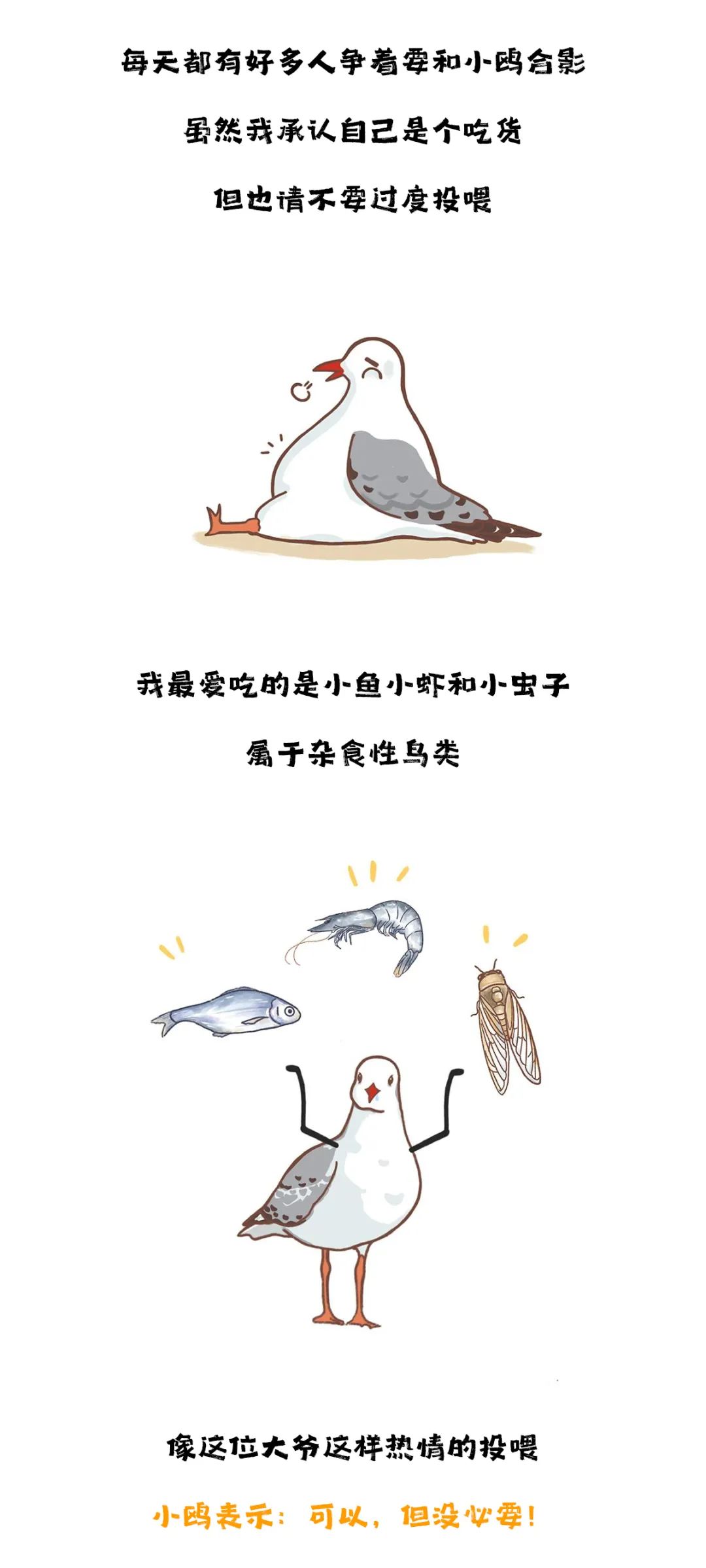滇池度假发布