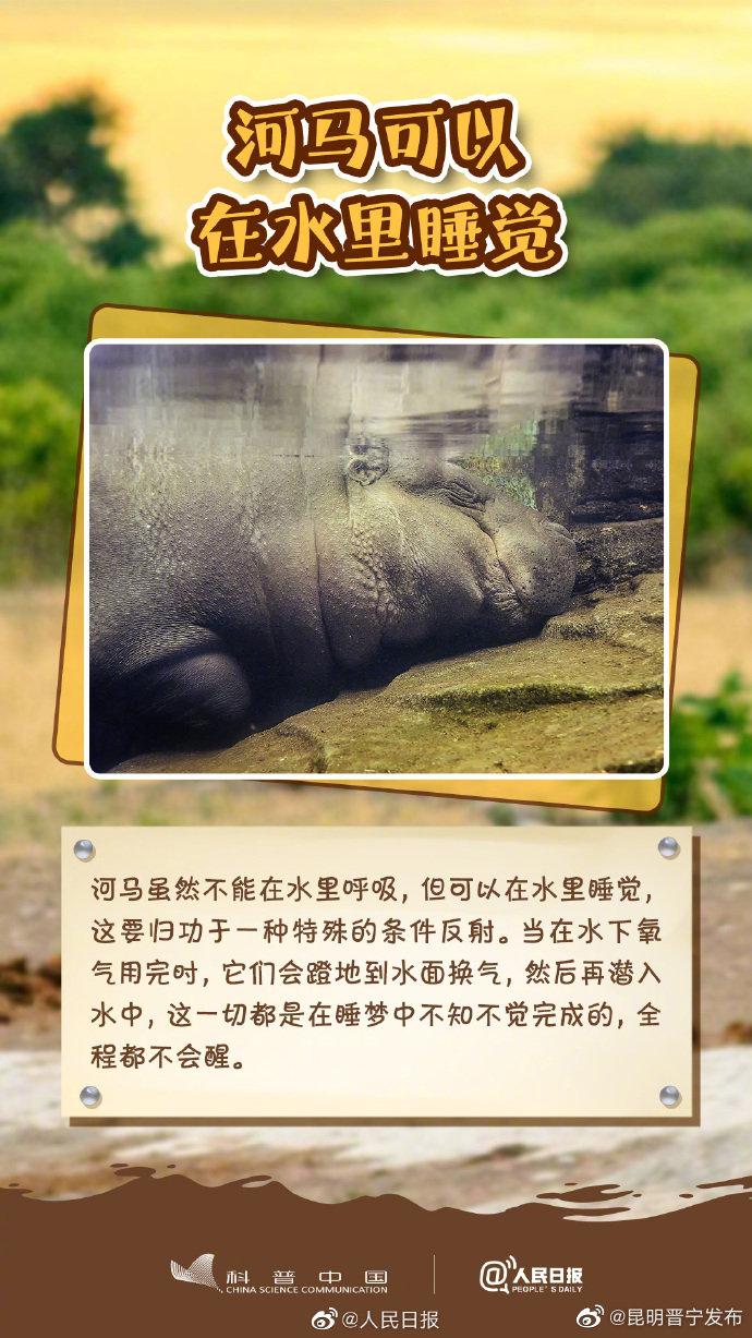 昆明晋宁发布