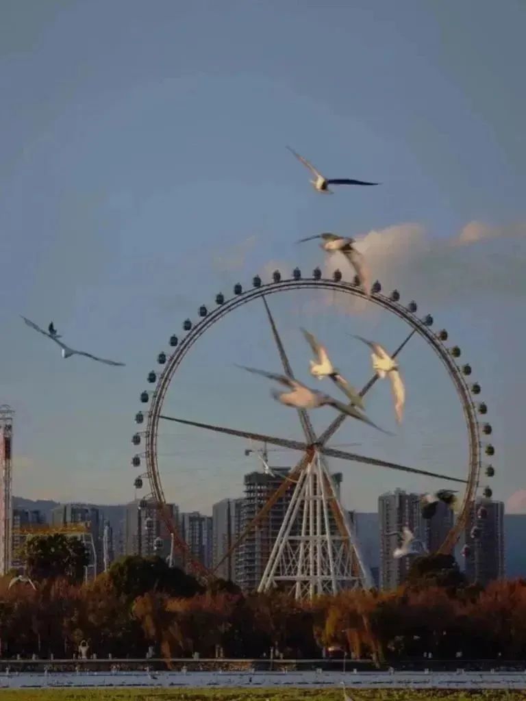昆明文旅