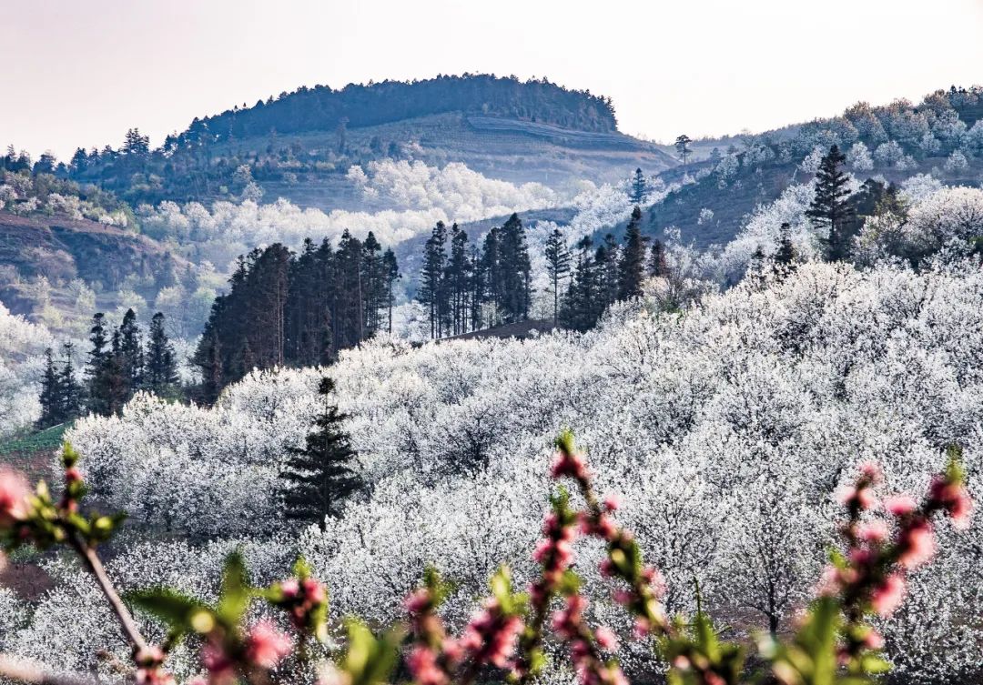 一部手机游云南