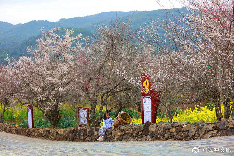 腾冲文旅微博