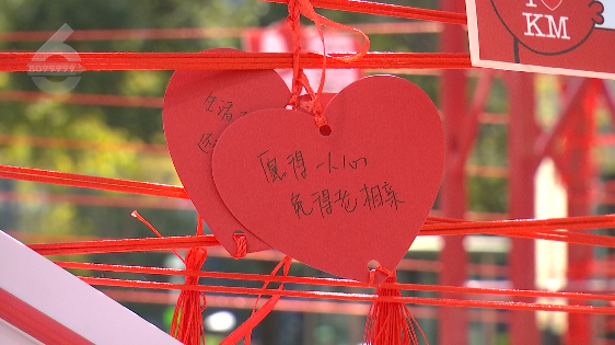 昆明信息港/cnkmxxg