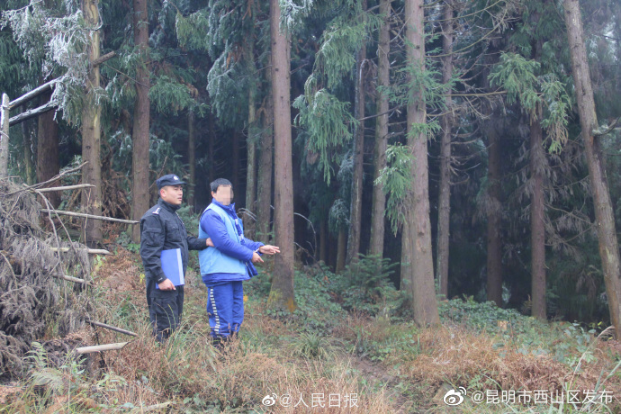 昆明市西山区发布