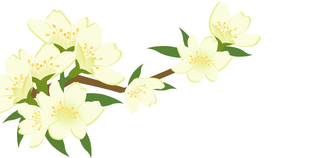 昆明市西山区图书馆