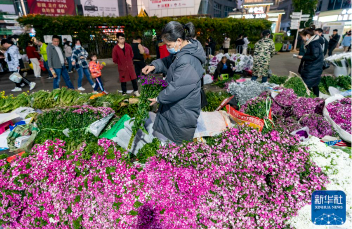 昆明信息港/cnkmxxg