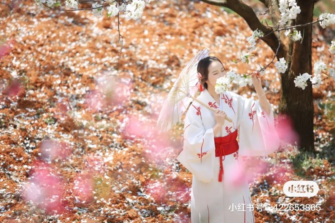 一部手机游云南