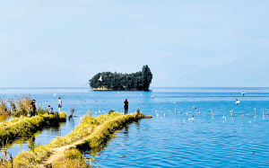 滇池鲸鱼岛带火乡村游