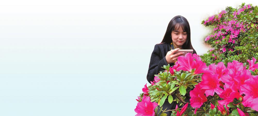 新华网云南频道