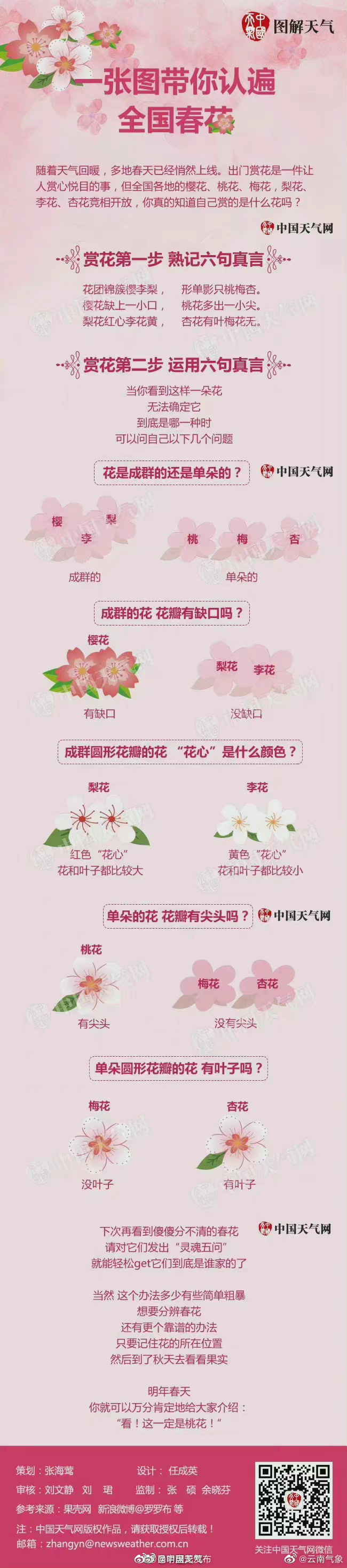 熟记六句真言 带你认遍全国春花