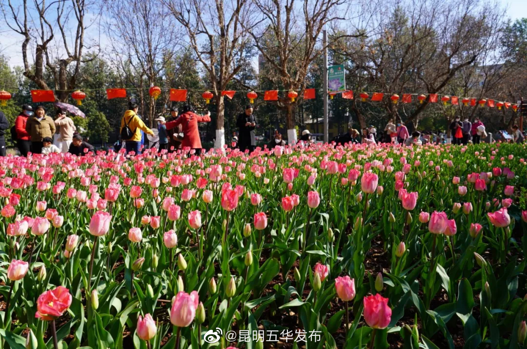 昆明五华发布