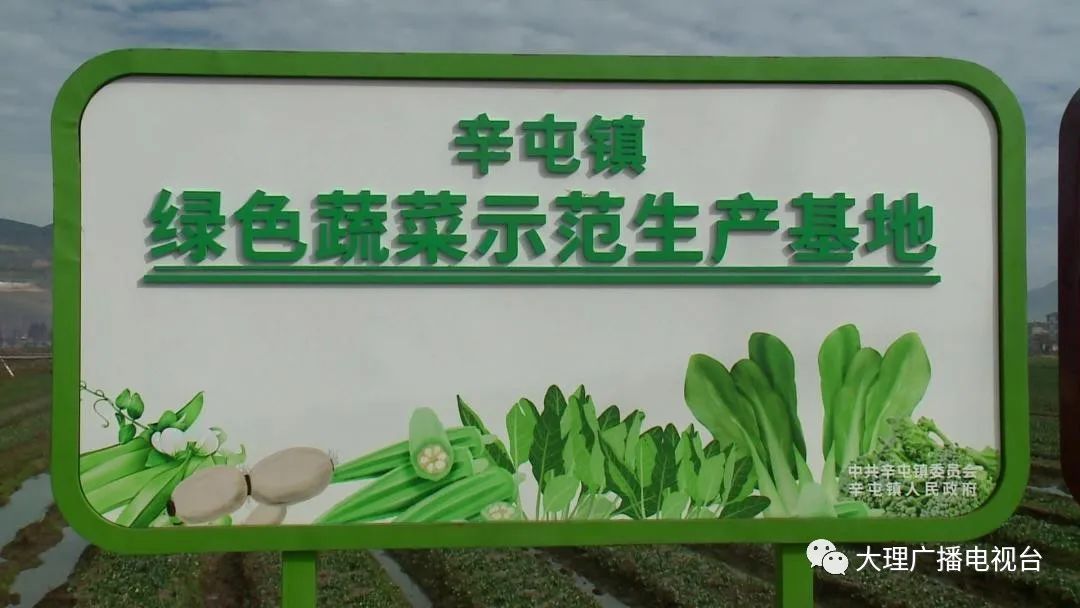 大理电视台