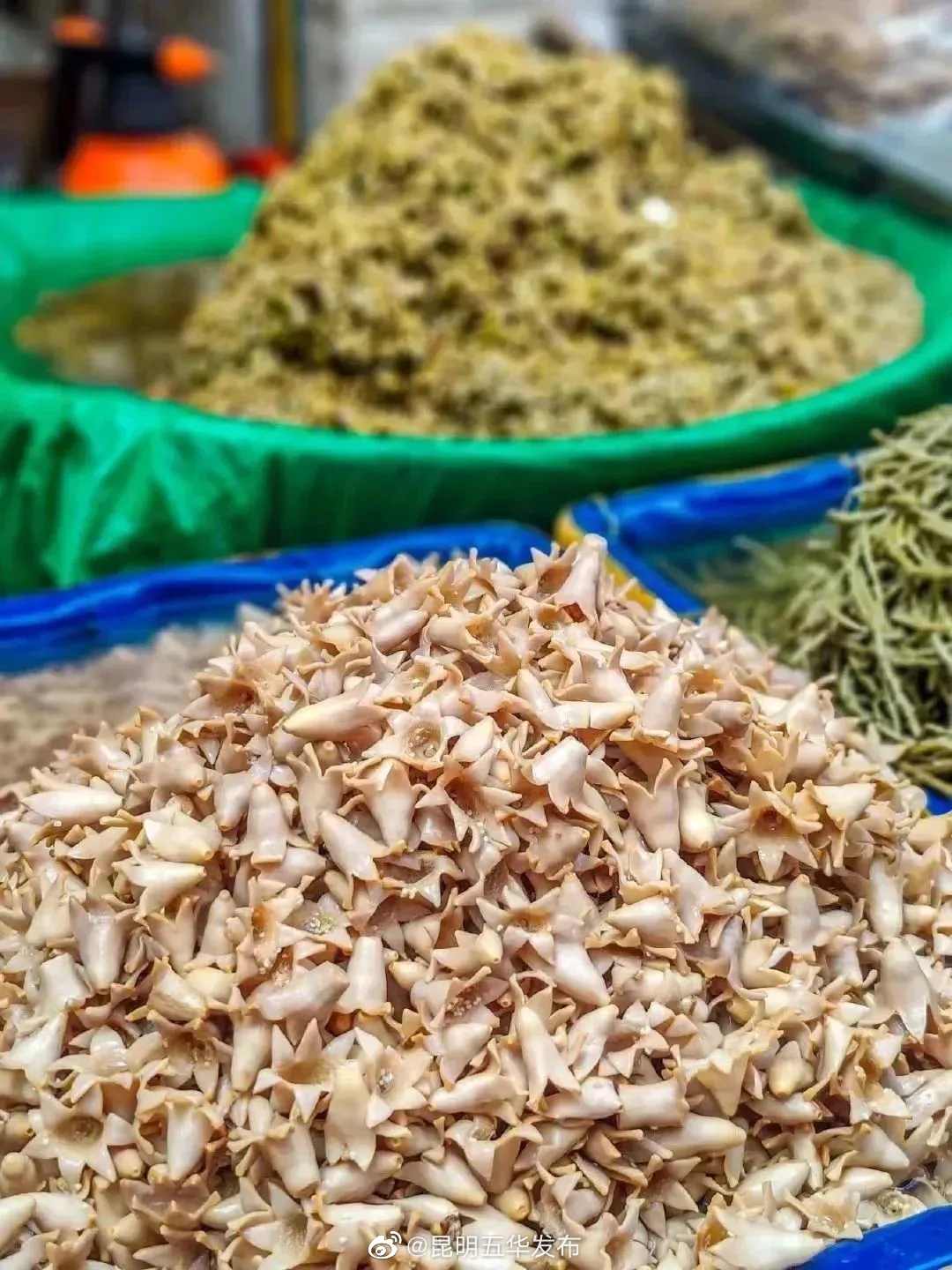 昆明五华发布