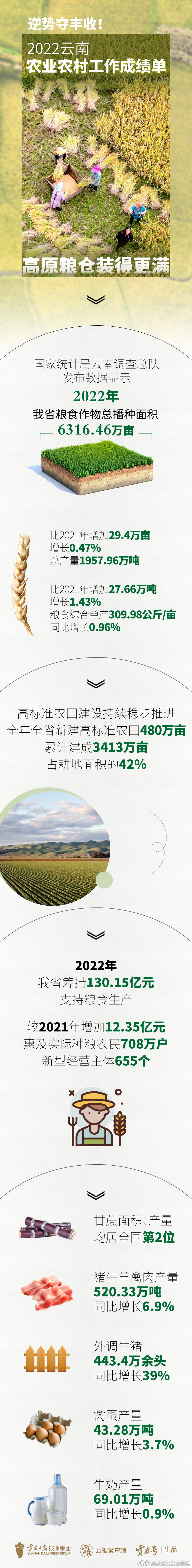 逆势夺丰收！数读2022云南农业农村工作成绩单