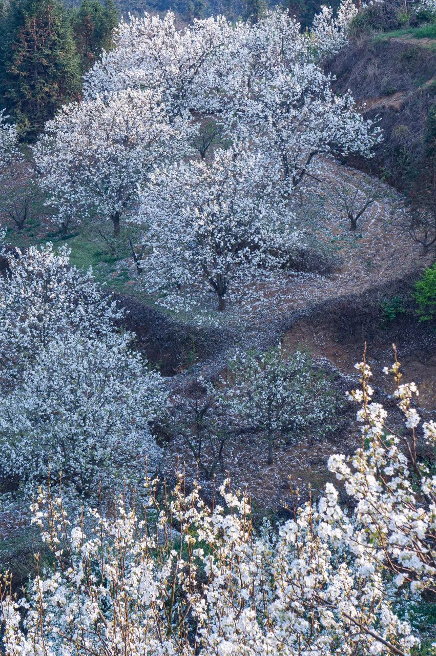 一部手机游云南