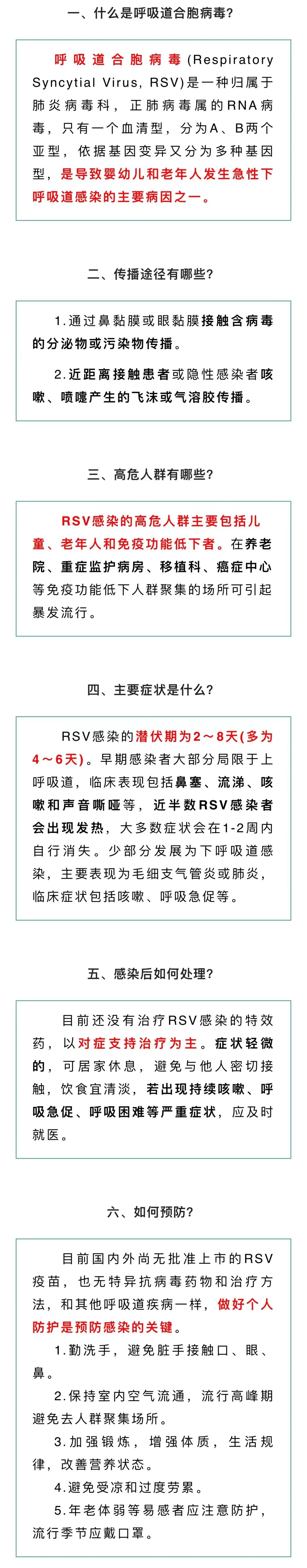 掌上春城