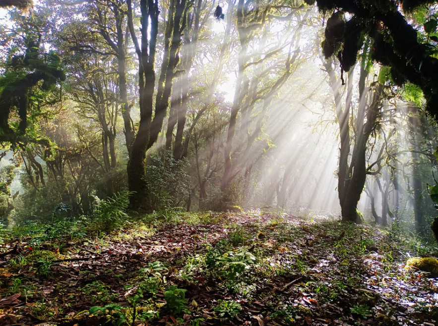 美丽云南微科普