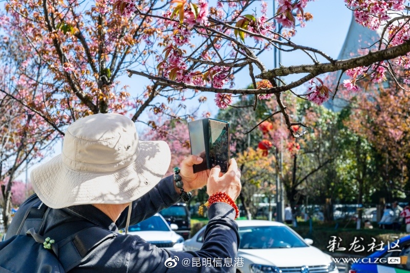 昆明信息港（微博）