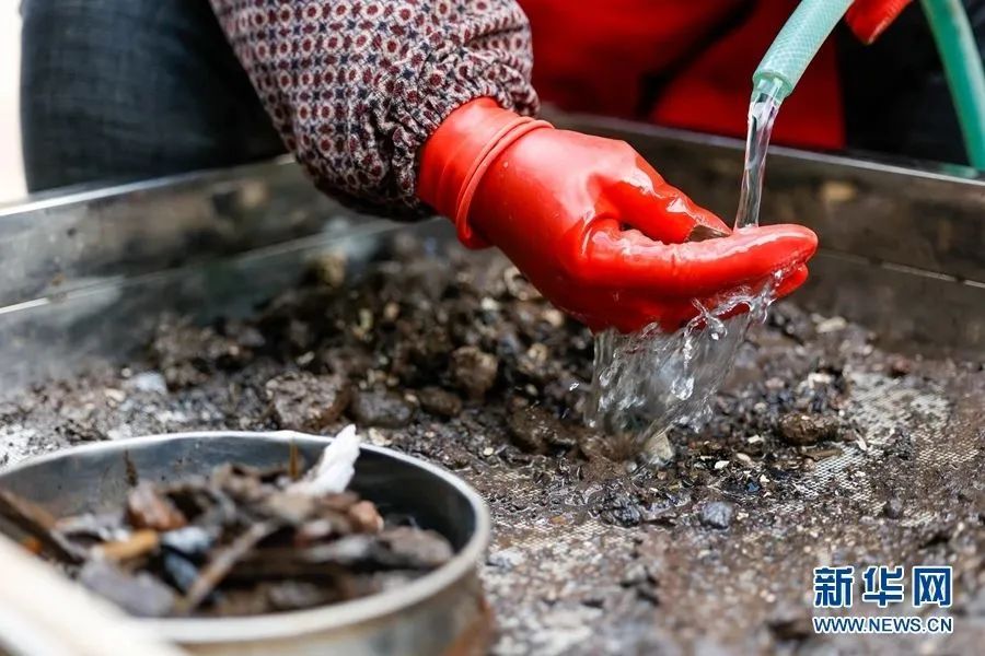 美丽云南微科普