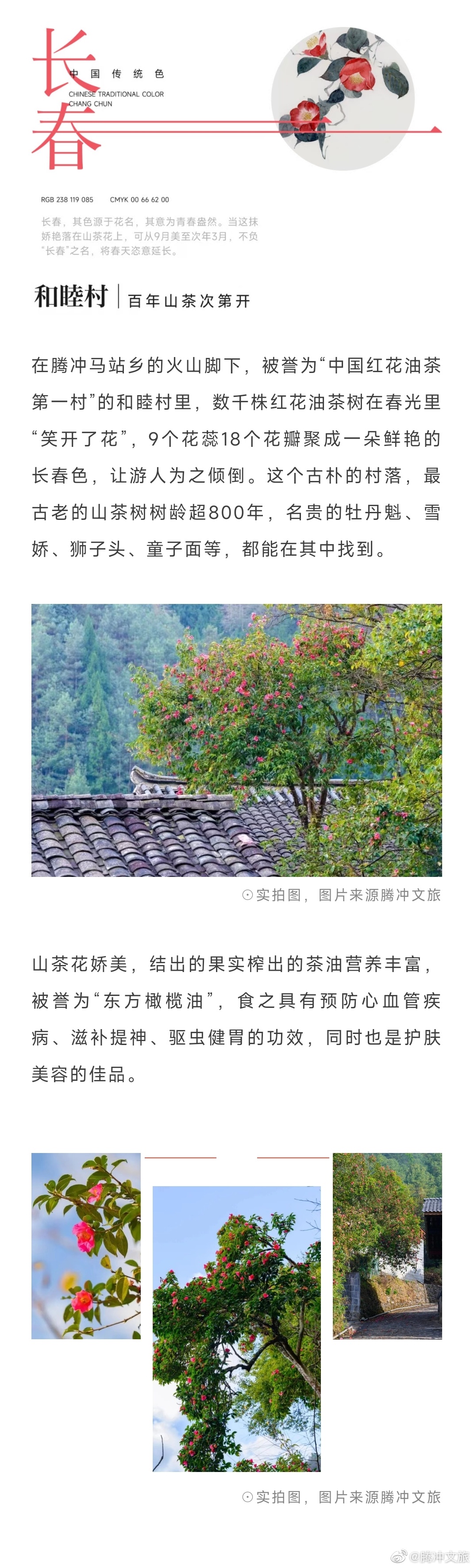 腾冲文旅微博