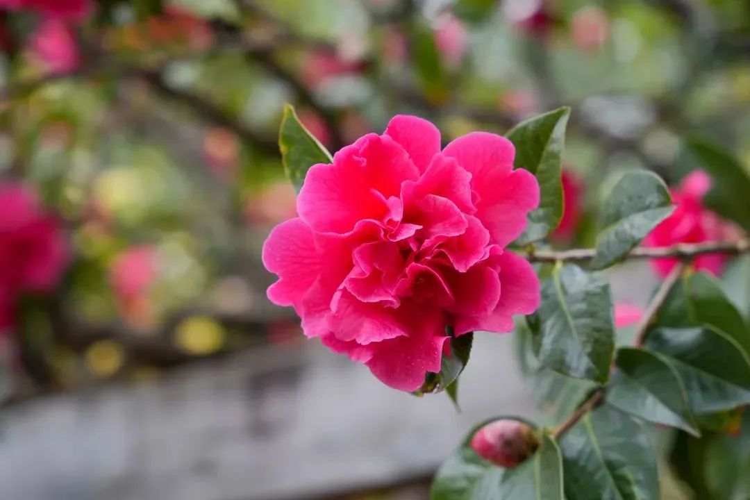 云南省人民检察院