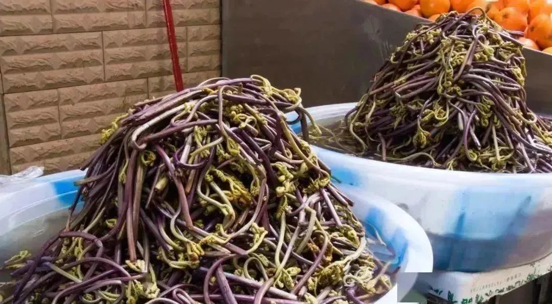 石林融媒